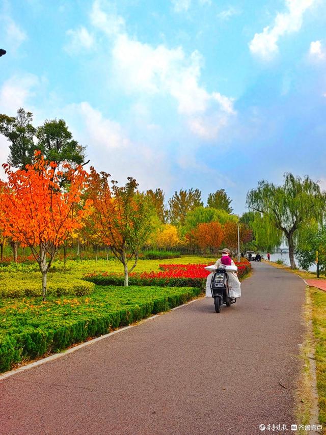 沂河岸边秋景美，抬眸尽是好风光
