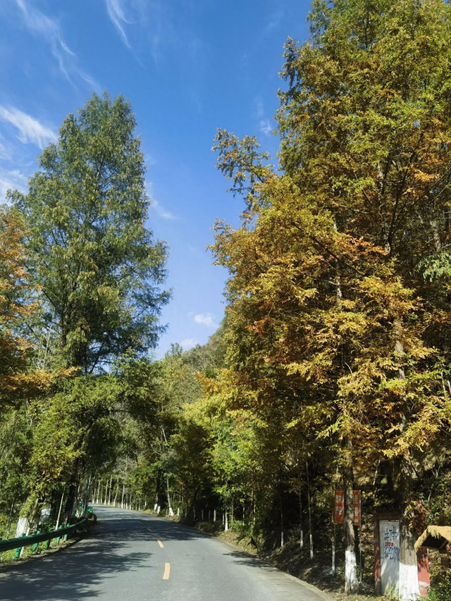 秦岭深处有人家（二）——邂逅秦岭最美廊道