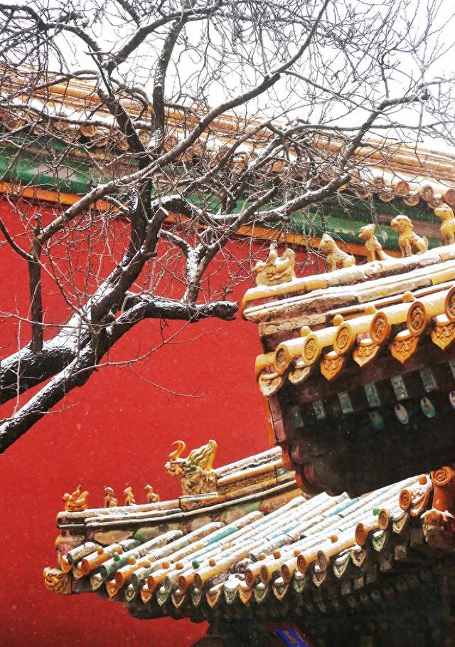 京城初雪拂过紫禁城的每一个角落 故宫红墙金瓦变身童话仙境