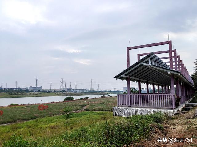 佛山三水芦苞花海生态公园