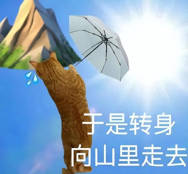 深山失联！暑期“说走就走”变劫后余生