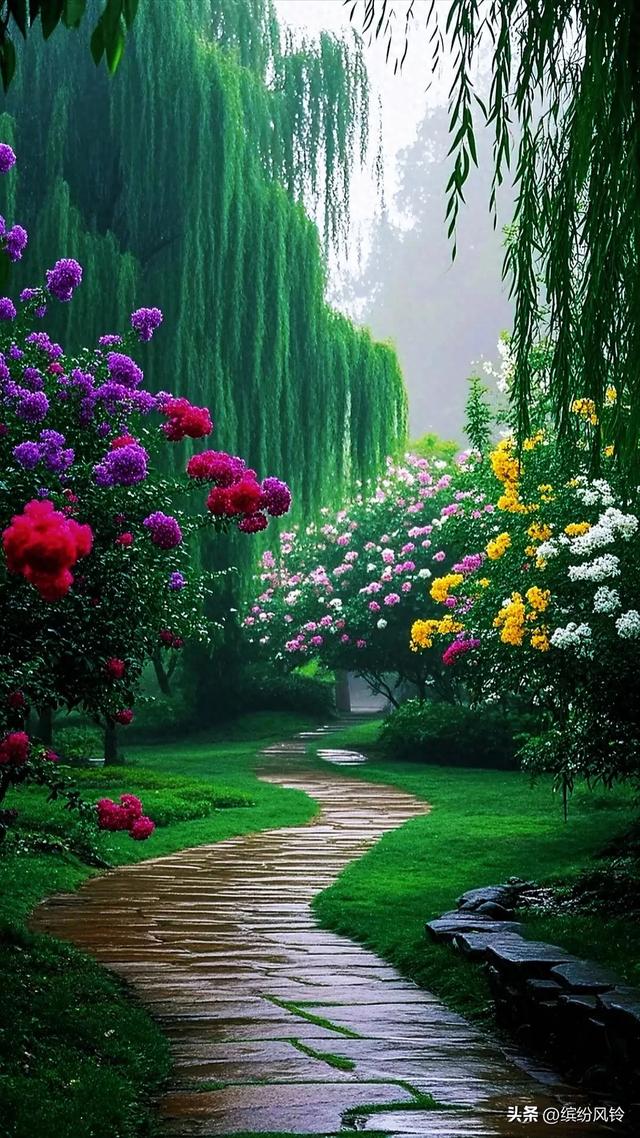 雨落芳华，打湿青石板路