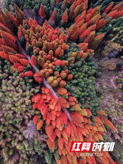 炎陵县再获“美丽中国·深呼吸小城”美誉‌