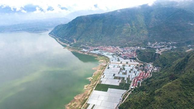 汉源有个月亮湾，月亮湾有个千亩葡萄观光采摘园