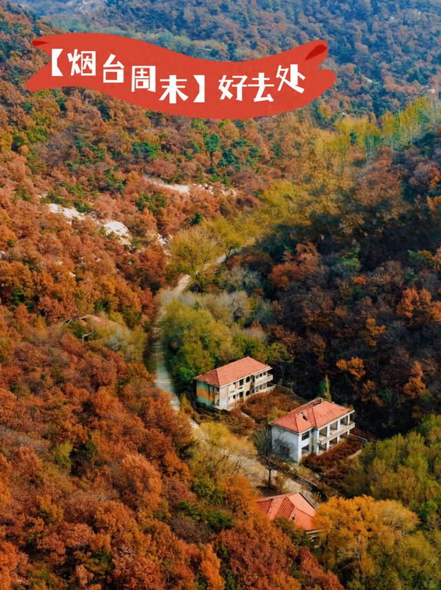 周末好去处丨免费打山泉水！烟台这条徒步秘境火了