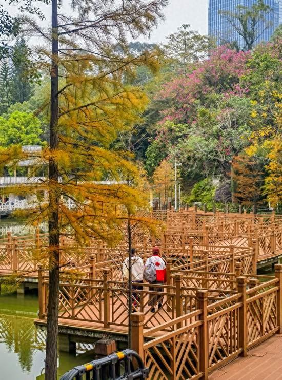 南宁市石门森林公园换上限定 “彩装”