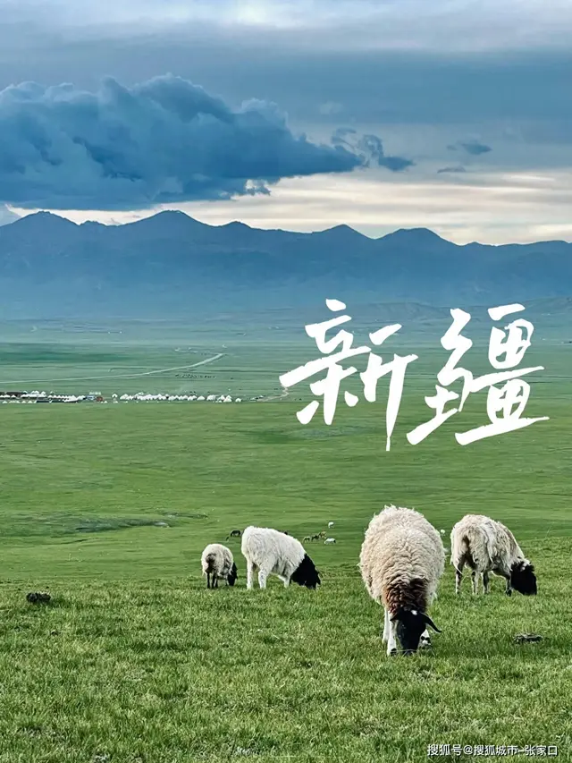为什么人生中一定要去一次新疆？