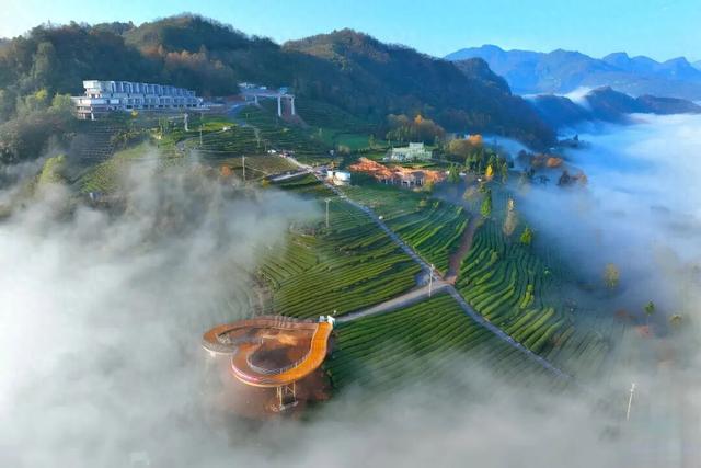 一句话赢3万元！五峰城市形象宣传口号征集启动