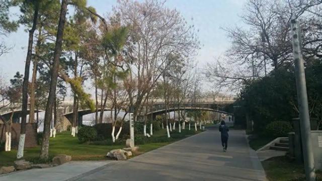 河北省下一个“黑马城市”已亮相，远超保定，成为新的希望之星