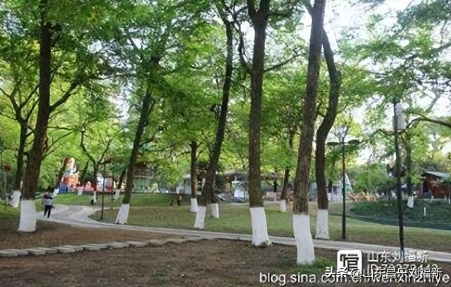 景德镇人民公园观后（江西之旅第三十篇）