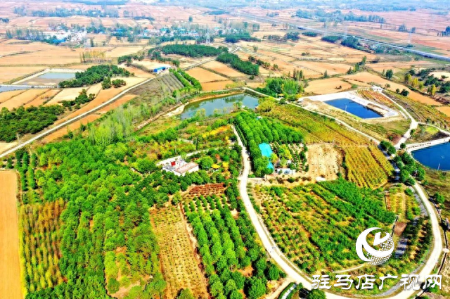 【大美天中】果香四溢 四季如画 泌阳打造旅游避暑胜地