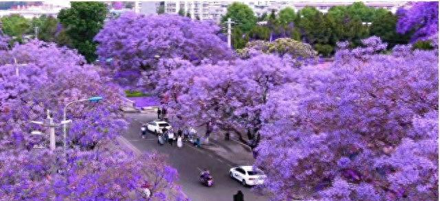 4月最适合小住三五天的16个地方，再忙也值得你挑一个去发呆！