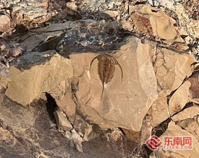 全国媒体达人云南行|探访澄江化石地博物馆 邂逅诗意抚仙湖