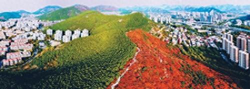 济南蝎子山秋色“美出圈”