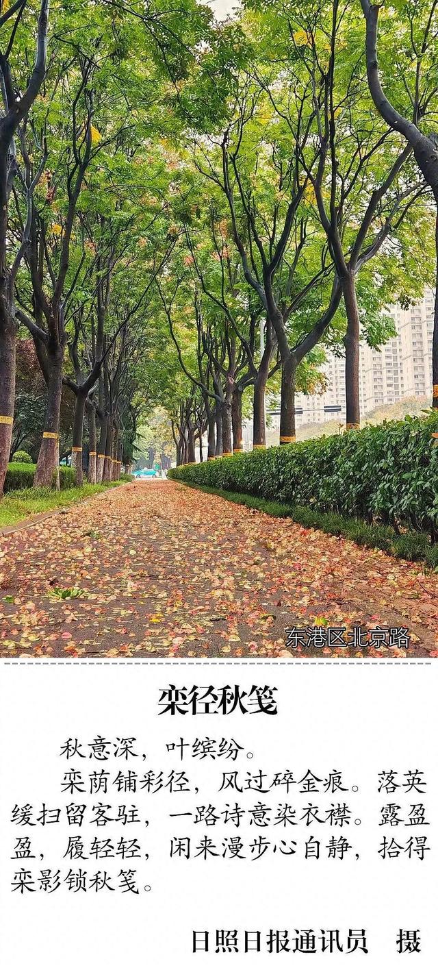 超上镜！日照这些地方已经美到next level！