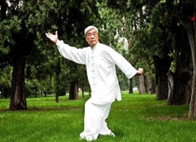 去独练太极拳，各种原因，也许不是你想像的！