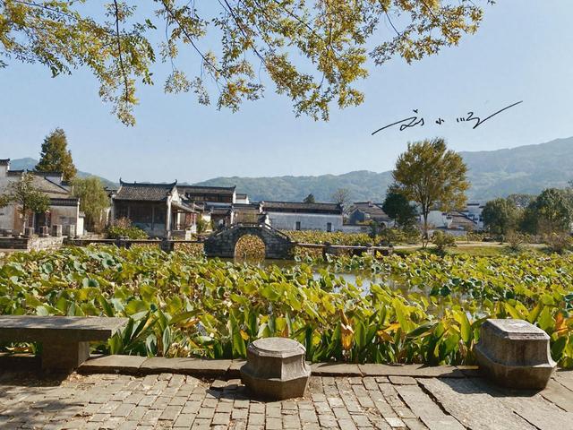 “中国八卦第一村”：竟然藏在安徽省黄山市，现在已是5A级景区