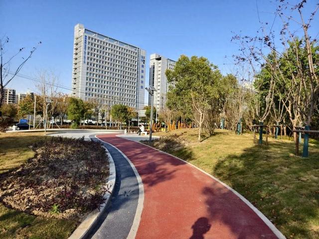 一树一景一步道，宝山这条生态步道升级，遛弯超惬意～