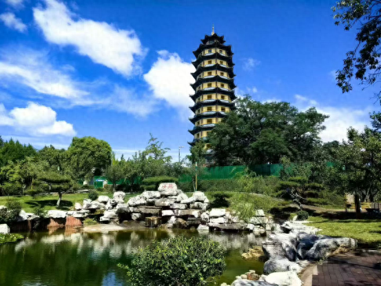 焕新归来！沂水东皋公园：四季有景夜有光 古塔生辉美出圈