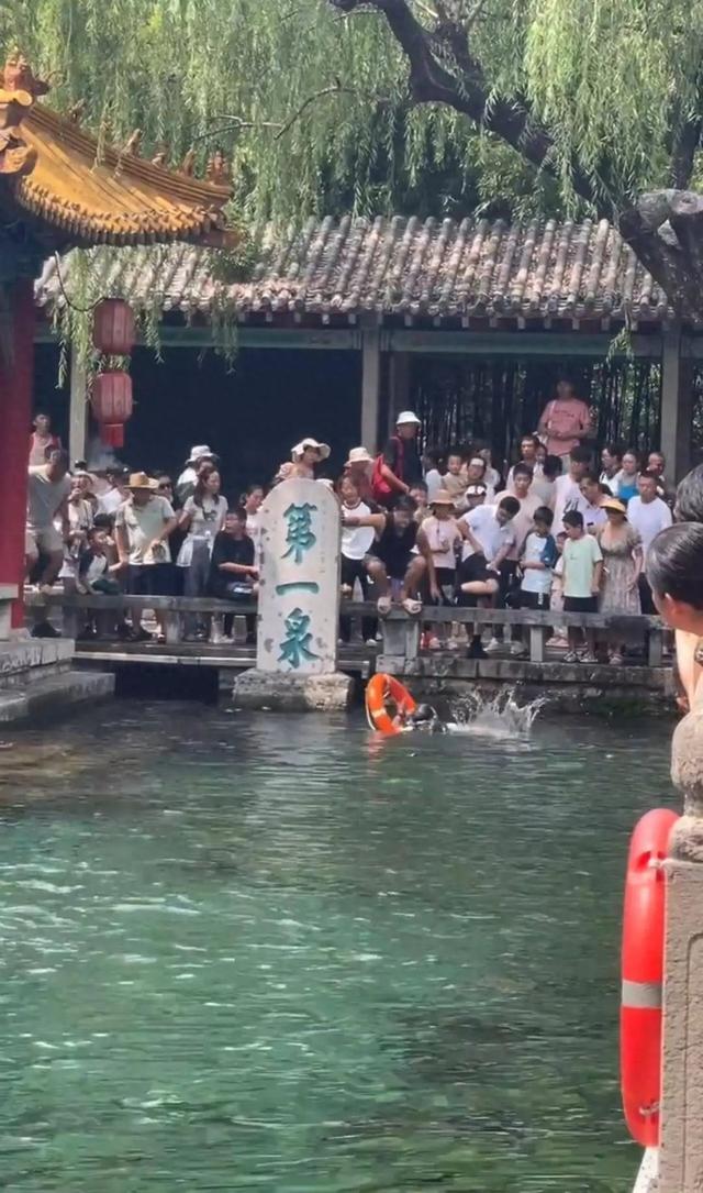 男子坐石凳后仰跌入趵突泉挣扎呼救，游客拉他上岸，景区：水深三米还有淤泥，还是很危险