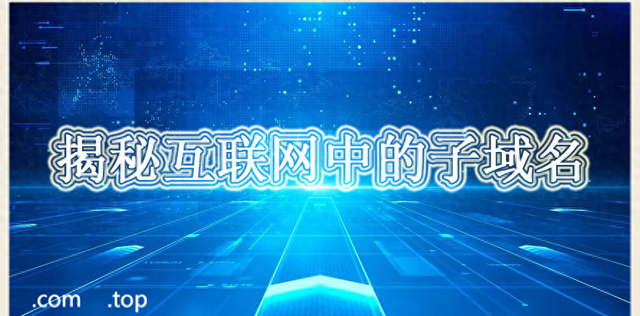 如何搜索一家公司名下的所有子域名（探秘子域名网络世界的分身密码）