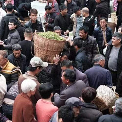 人生的真谛是什么意思（人生的真谛是什么）