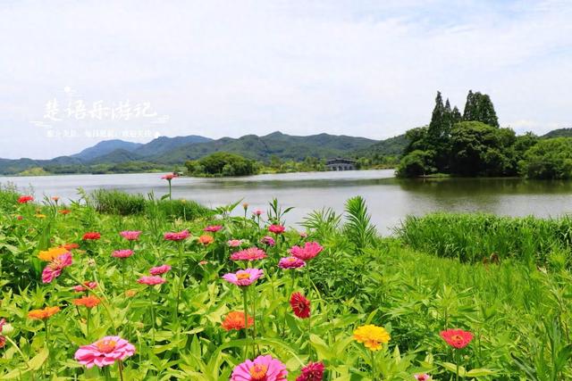 绍兴上虞的千年古湖，竟成了“绍兴的小镰仓”？真实情况原来这样