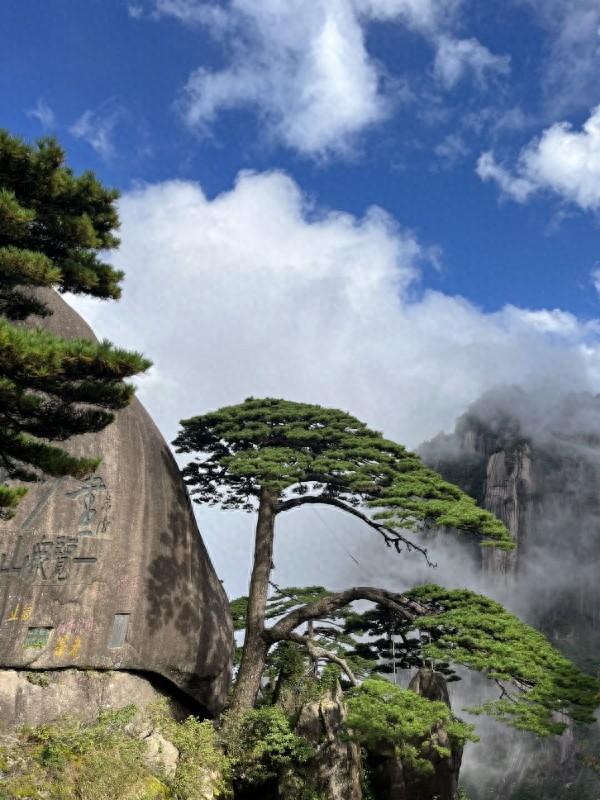警苑 | 览黄山险峻 寻宏村幽韵