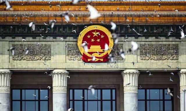8万和平鸽放飞走失数十只后续：走失原因曝光挺特殊，网友立大功