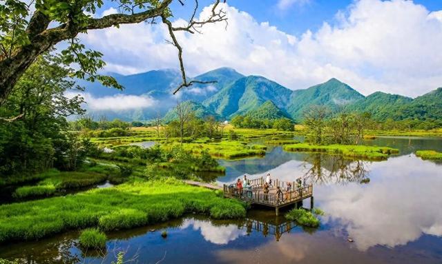省属国企 共建支点丨湖北文旅集团：打好“三张牌”，建设世界级文化旅游目的地