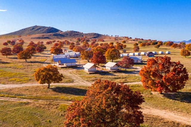 映在五角枫林里的京蒙协作情