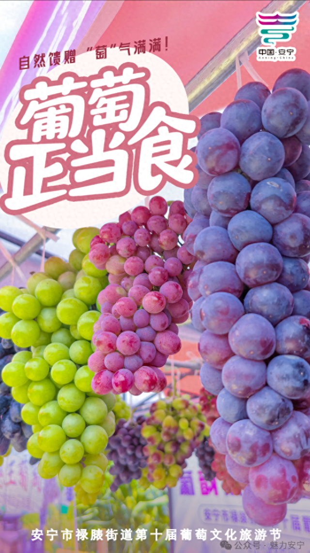 安宁市禄脿街道举办第十届葡萄文化旅游节