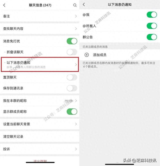 好看的微信id账号格式有哪些（微信发布 8065 新版本）