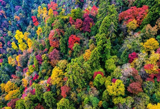 40条！浙江省名山公园精品线路发布