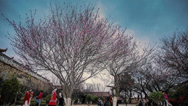 福建大反转！莆田杀出重围，福州泉州都没预判，凭什么火遍全国？