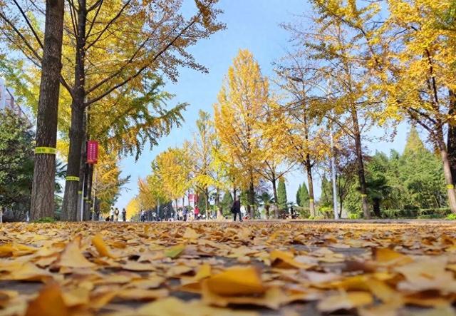 这样的六安，你见过吗？