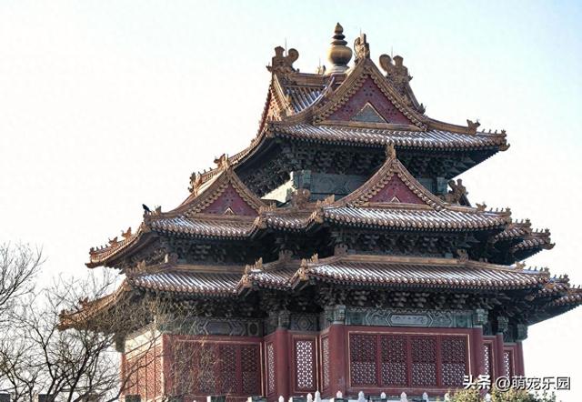 初雪后的故宫角楼，朱红城墙配金黄琉璃瓦，随手一拍都是绝美古韵