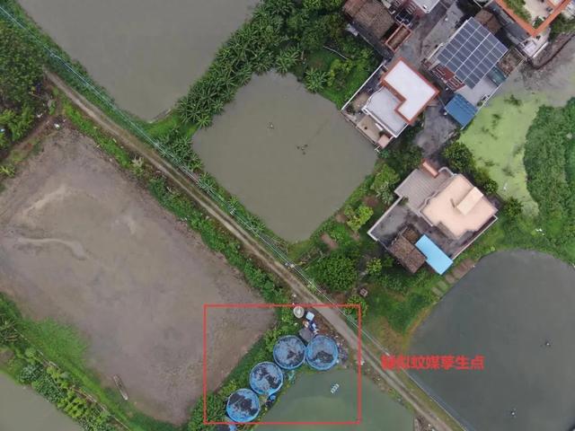 蚊媒防控升级！低空无人机遥感网精准锁定“隐形蚊患”