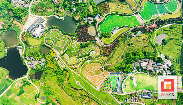 贡井区打造中医药健康旅游示范基地 推动文旅融合创新发展