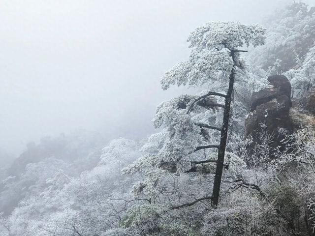 黄山首场雾凇已上线！冬日限定皮肤等你来看！| 皖美冬日 | 第十五届安徽国际文化旅游节