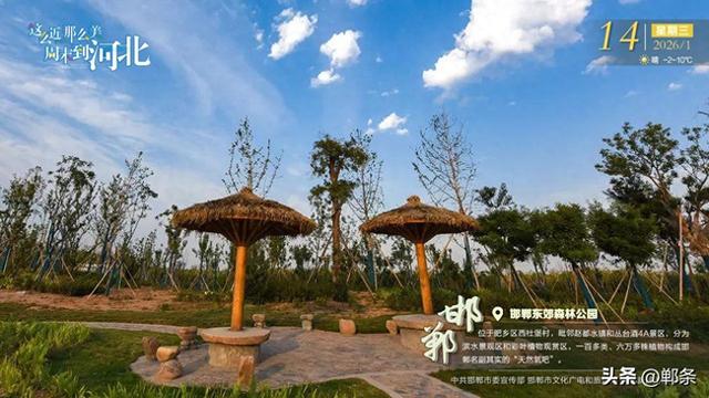 这么近 那么美 周末到河北——邯郸·邯郸东郊森林公园