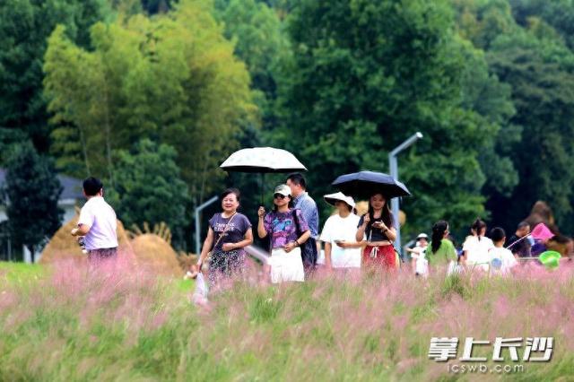 大地艺术融合美丽生态成爆款，长沙园林生态园假期前7天入园游客突破12万人次