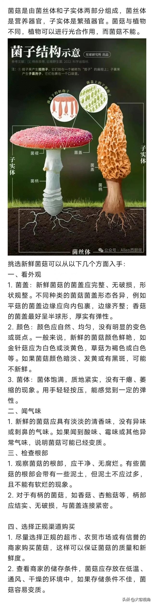 蘑菇的种类有哪些（认识30种菌菇）