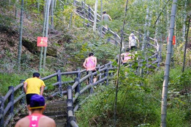 安徽无为市首届重阳节登山大会：竞技和文旅体验并重
