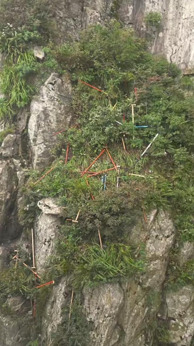 “有没有想过谁收拾？”泰山景区多处可见被丢弃登山杖，悬崖下也有！