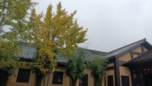 两性关系，50岁后的女人不怕你占便宜，就怕你做到这一步