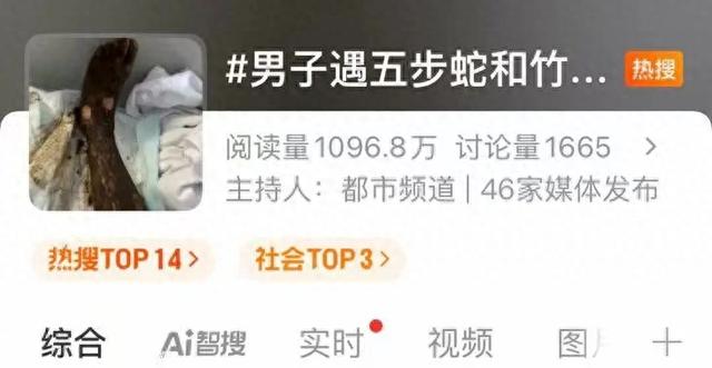 安徽一男子走路玩手机，一脚踩中互相打斗的竹叶青和五步蛇！脚被竹叶青咬两口，五步蛇咬一口