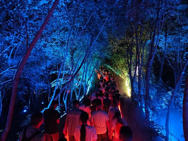 镇宁税务：当好“夜管家” 激活旅游“夜动力”