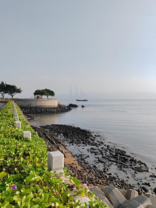 紫云公园:光阴与自然的交响