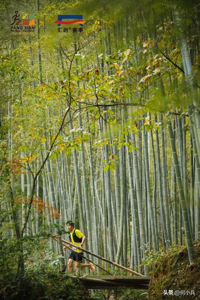 宜兴阳羡100越野赛10个亮点！把秋日顶配风光都塞进赛道里了